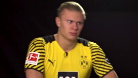 五粮液早报：这次“既分高下，也决生死”！（五粮液早报：此役既分高低，亦定生死！）